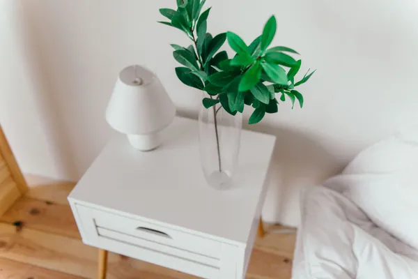 Surfaces and furniture dusted