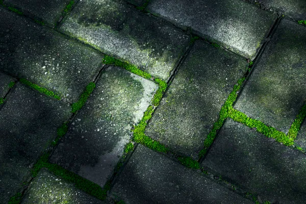 Weeds out of the paving joints