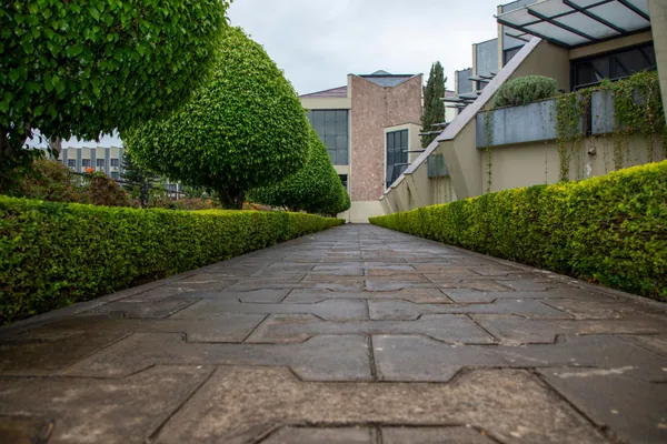 Paths and outdoor tiles washed