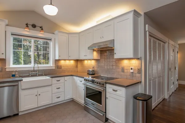 Extractor hood and filter
