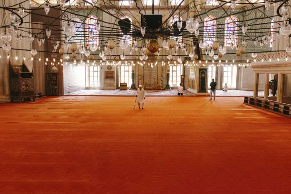 Carpet steamed and extracted