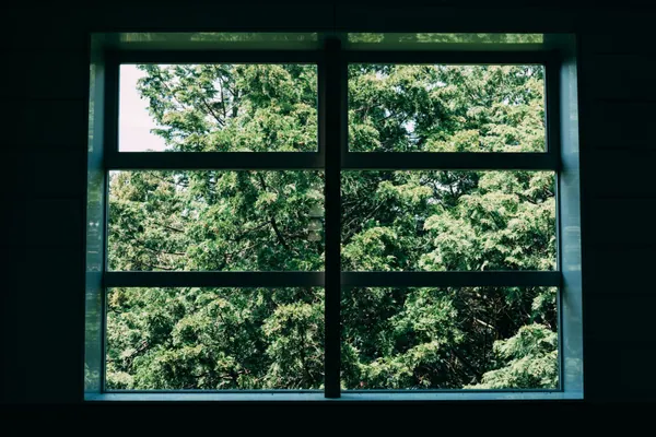 Windows and tracks